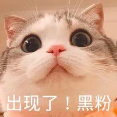 新手直播带货常用话术大全