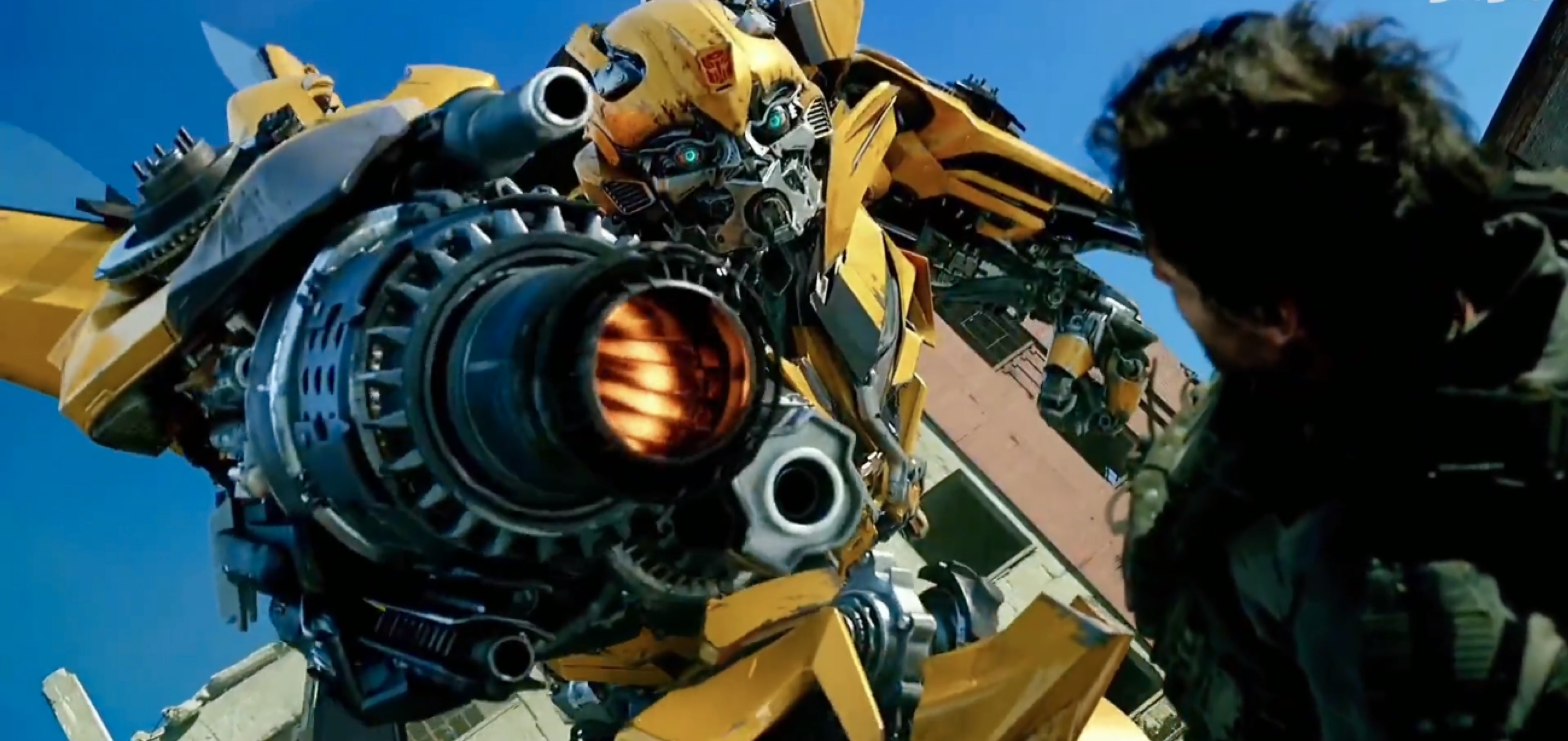 变形金刚大黄蜂档案全解析