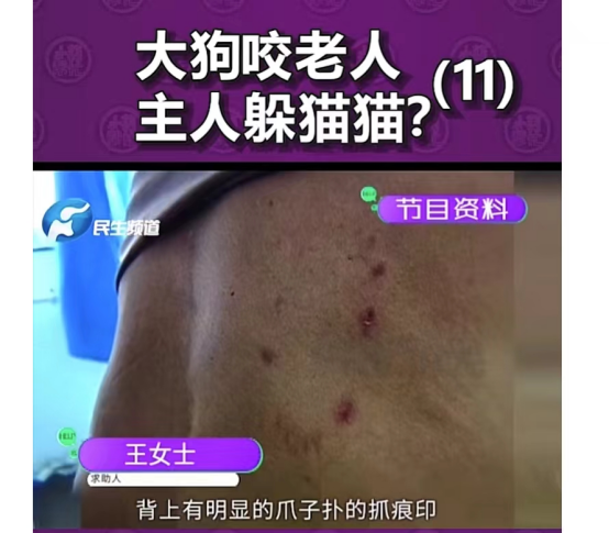 16岁男孩被误导下河救狗溺亡：狗一直都是狗，人有时候不是人