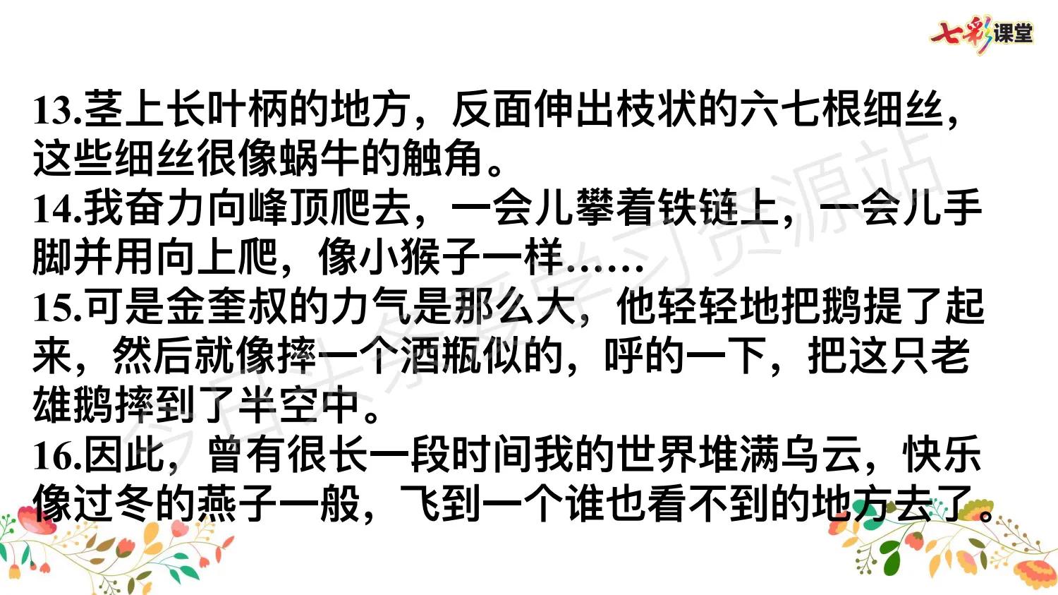 四年级语文老师汇总，语文句子专项，考前系统复习