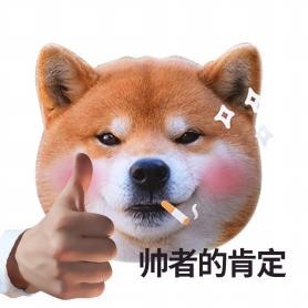 春天来了路边的迎春花微笑着迎接过往的游人（待到山花烂漫时她在丛中笑意思）