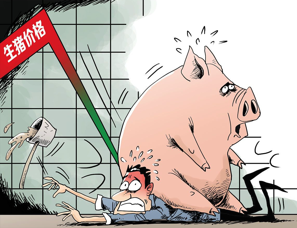 两广生猪今日猪价「生猪价格今日猪价」