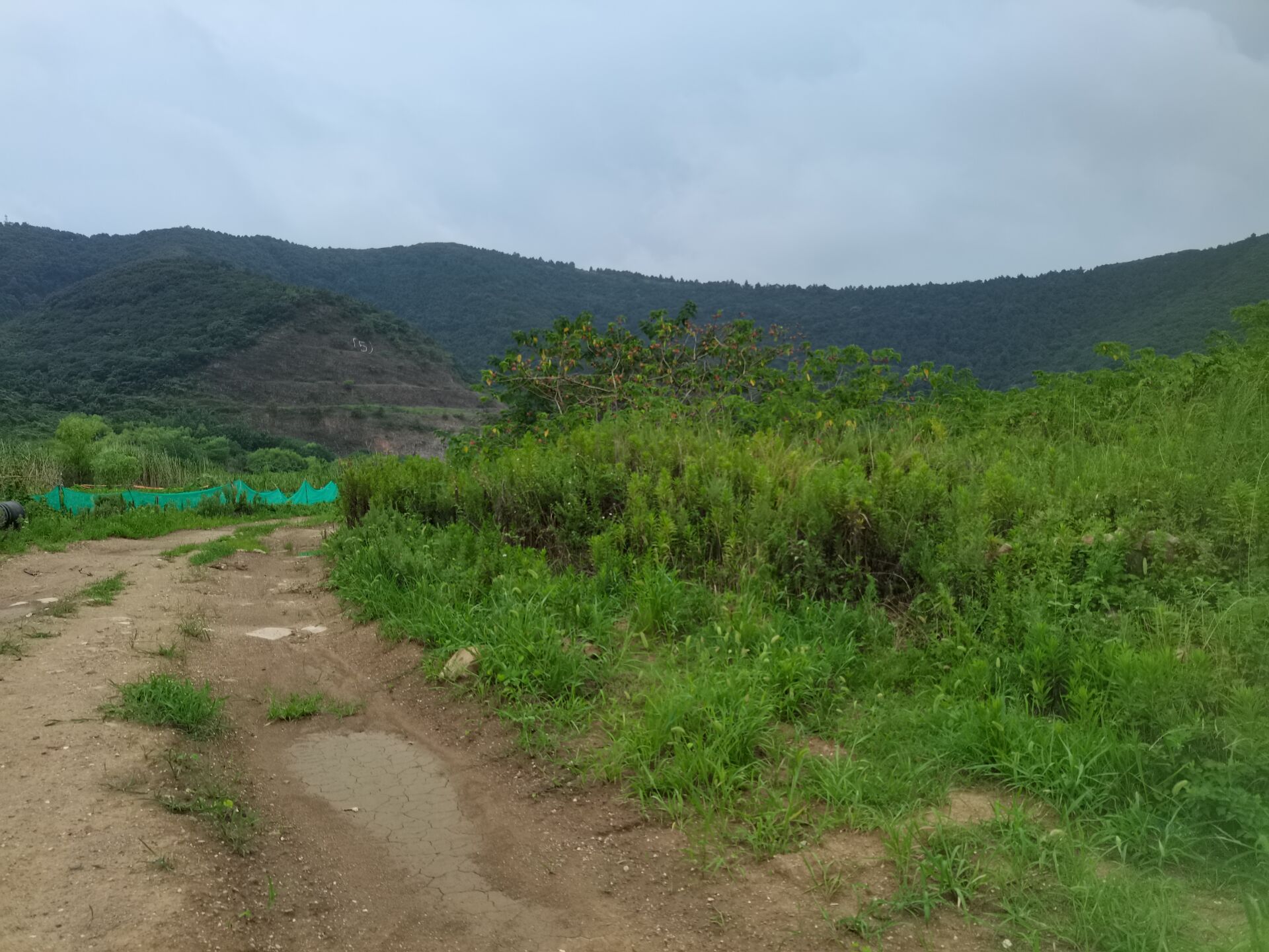 访古札记:钱元璙墓 访古札记:钱元璙墓