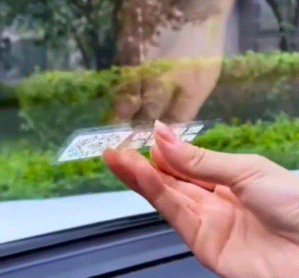 分享这些生活中的实用好物，不好用你来打我