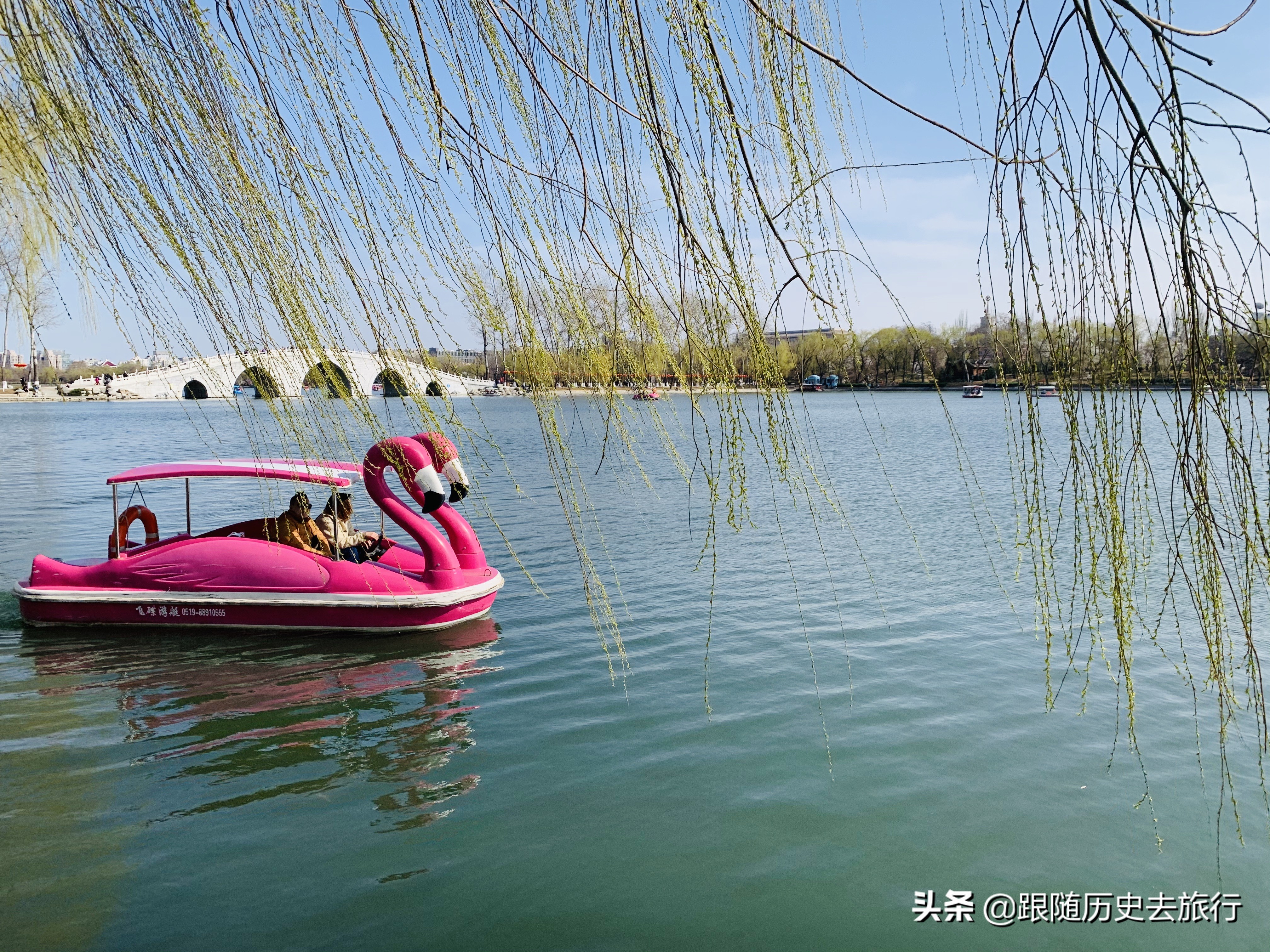 北京春日必去10大赏花公园！除了玉渊潭植物园，这几座也不要错过