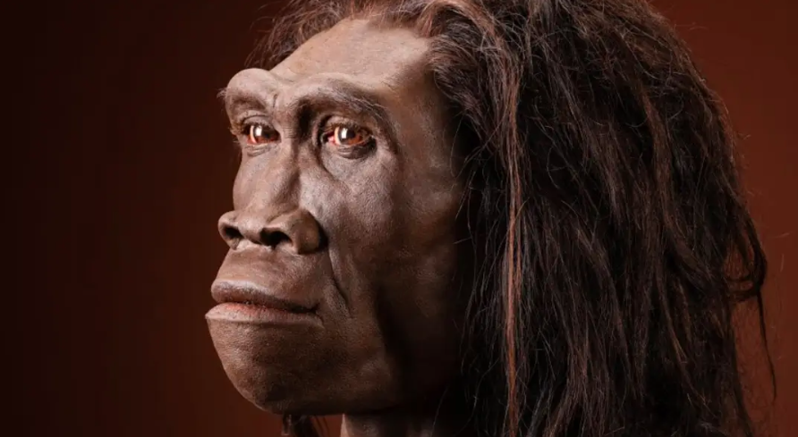 未来男人会不会消失(以男性来说,他们有哪些基因会世代传承下去,且只