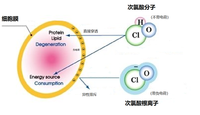 七彩叮当湿巾机一键即出消毒湿巾，零添加、更安全
