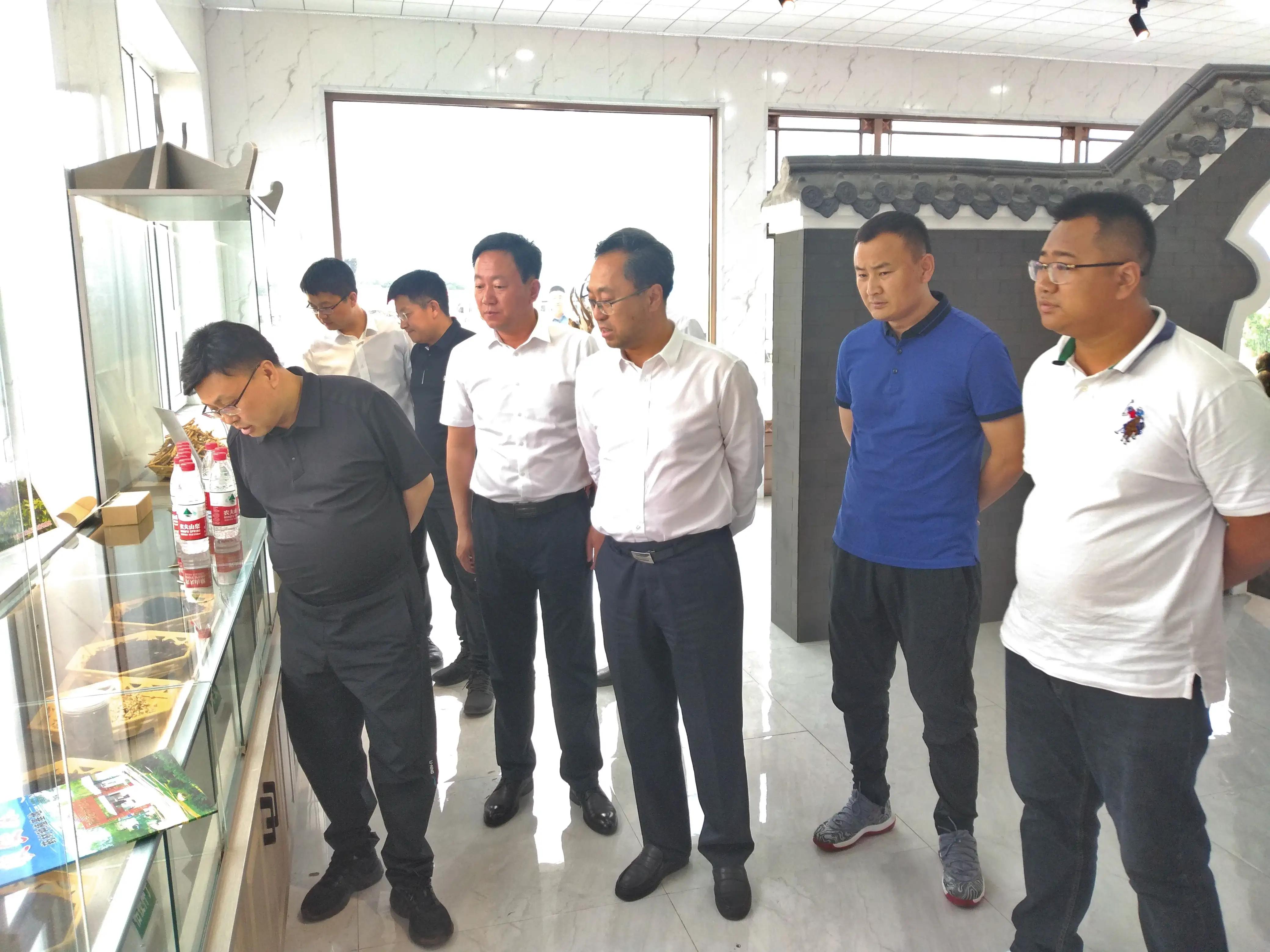 优化体制机制，发挥龙头企业引领示范作用