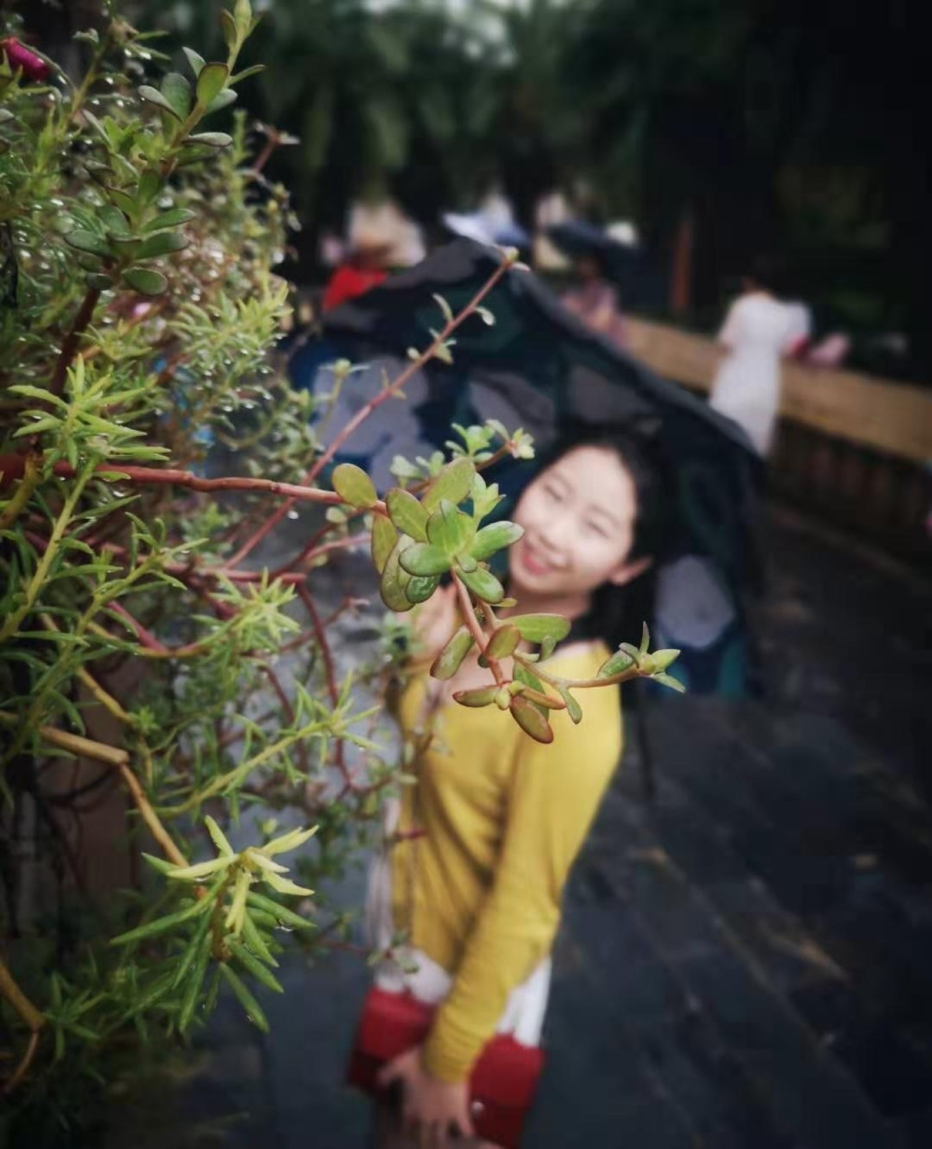 北海，是我的诗和远方