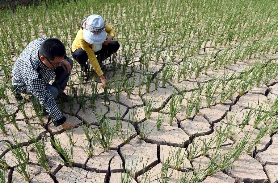 北极“高烧”不断，史前生物遗骸陆续现身，冰层下的病菌或会苏醒