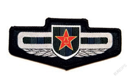 你没见过的红色徽章记忆