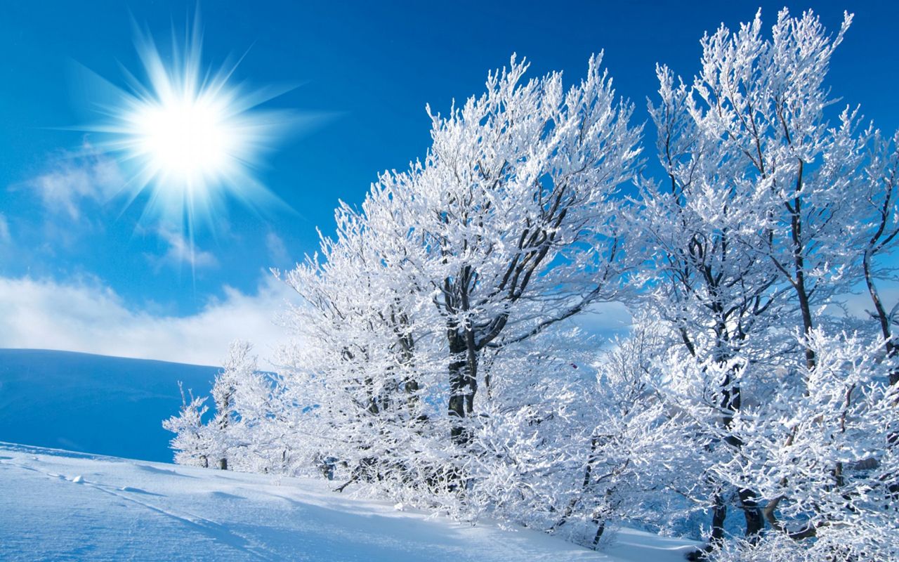 当冰遇上雪，便是最美的邂逅！古诗词里的“冰雪”刚柔结合美极了