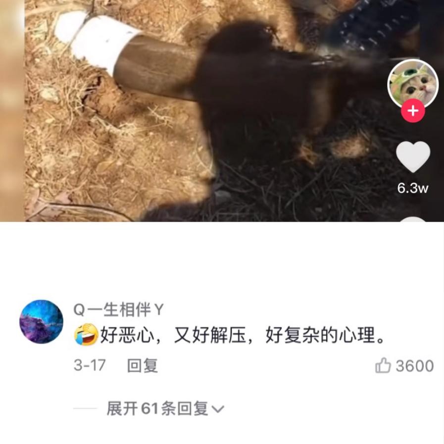 0元就能看的减压视频，能挽救数以万计的“压力向”人群吗？