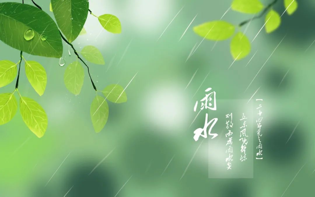 关于春雨的美文关于春雨的美文