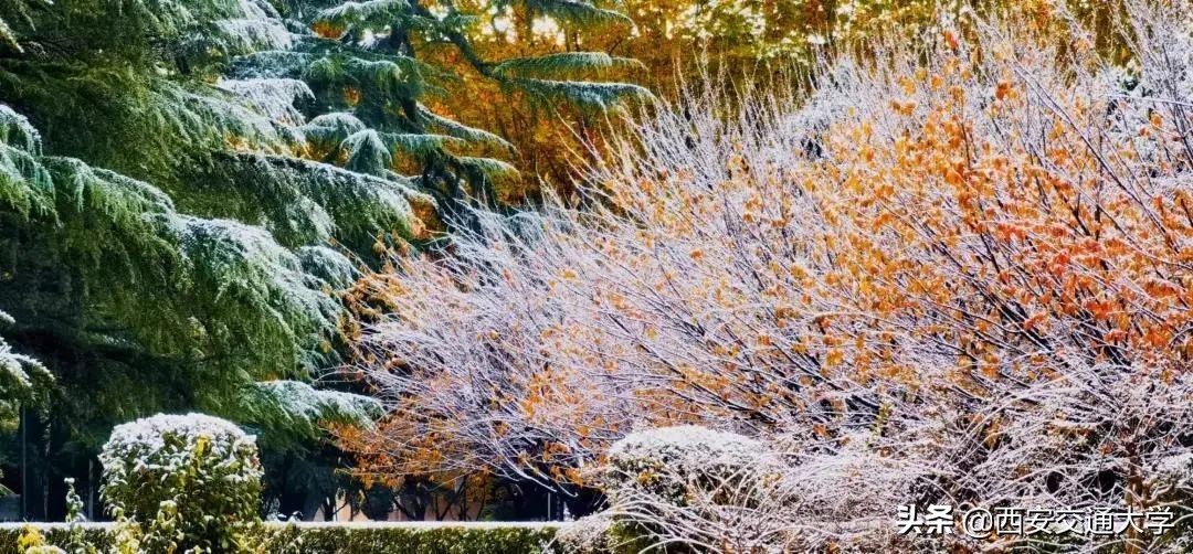 高考必胜，圆梦今夏！我们在交大等你