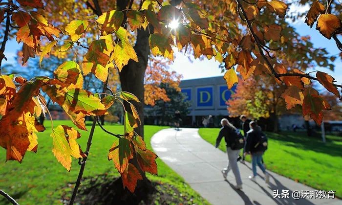 十所录取率超80%的美国大学，几乎申请就给offer