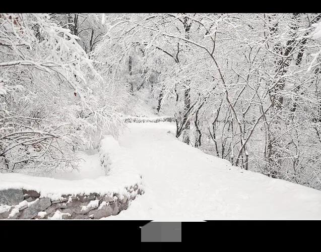 鹤城大萧侃东北（48）——东北方言「冰天雪地篇」
