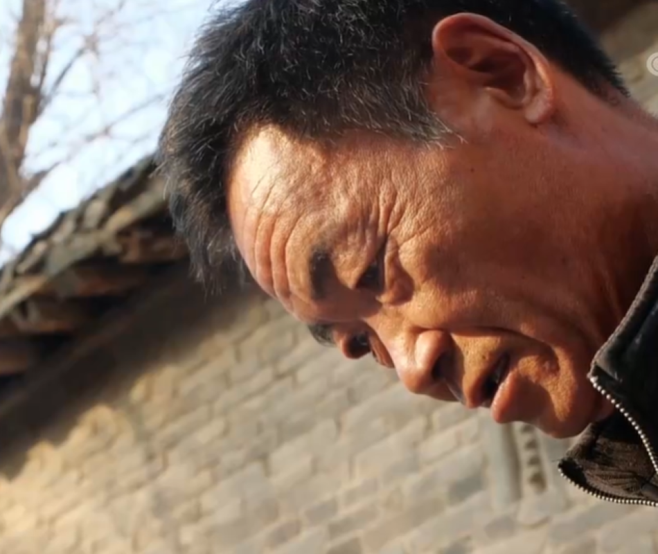 2013年，大哥用10万块创业养公牛，靠着317口大缸，年入2600万