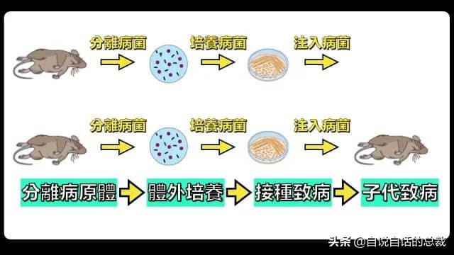 医学的真相比传说更可怕，每个人都被种下了封印吸血鬼的印记