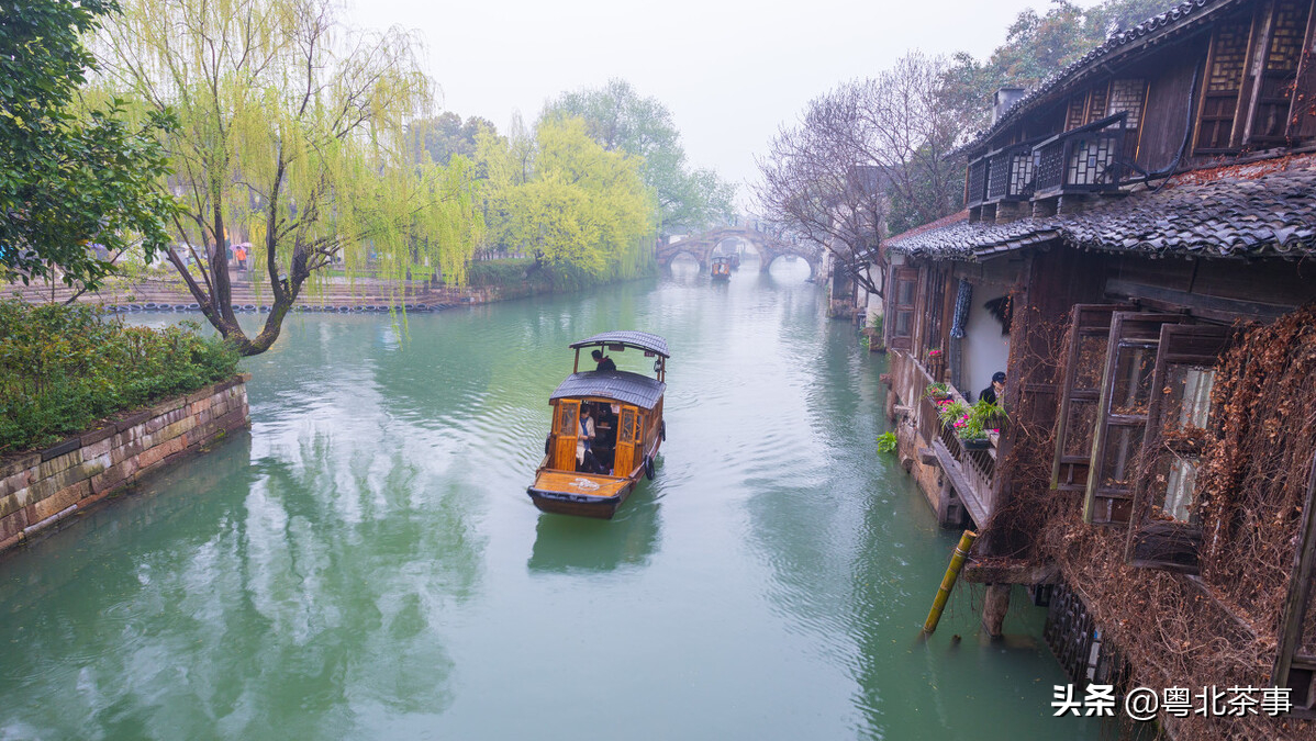 赏春，听雨，品茶