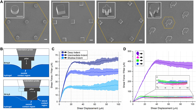 局部横向接触控制水凝胶基底上微图案表面的剪切牵引力