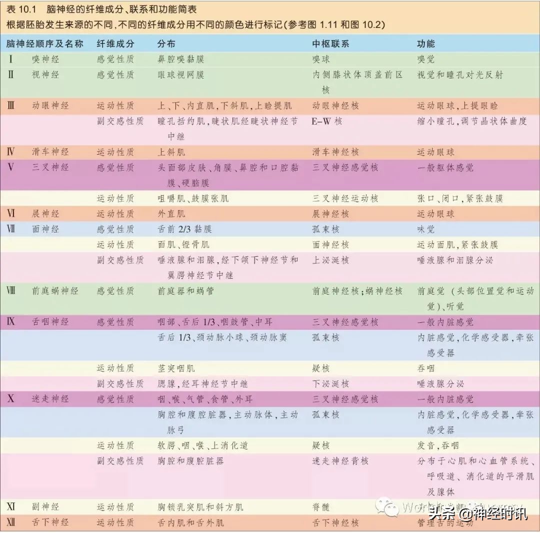 神经元结构图（高中生物神经元结构图）-第2张图片-昕阳网