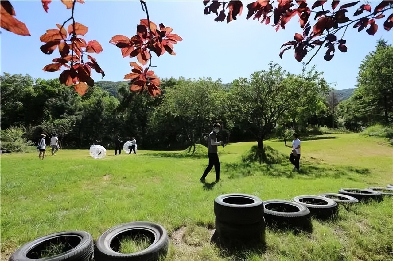 因麥積山而來 留植物園忘返！麥積山植物園帶你體驗叢林探險的樂趣