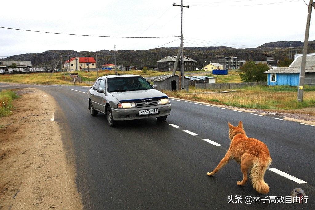 一个在俄罗斯追光成功的游客告诉你：除去运气，追极光其实并不难