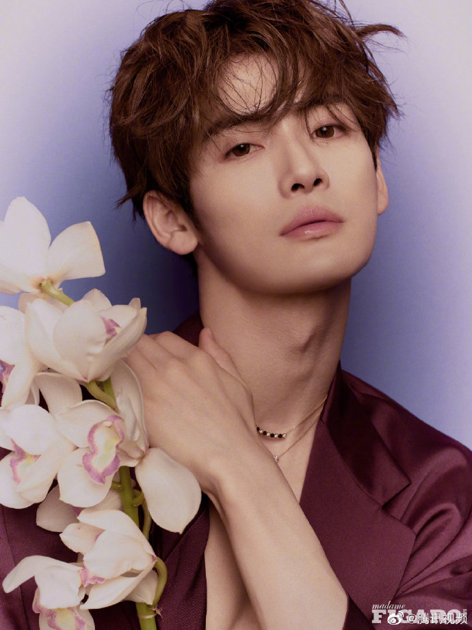 7.17美图：秦岚 任豪 肖战 檀健次 罗云熙 龚俊 张予曦 唐嫣 李易峰 王俊凯