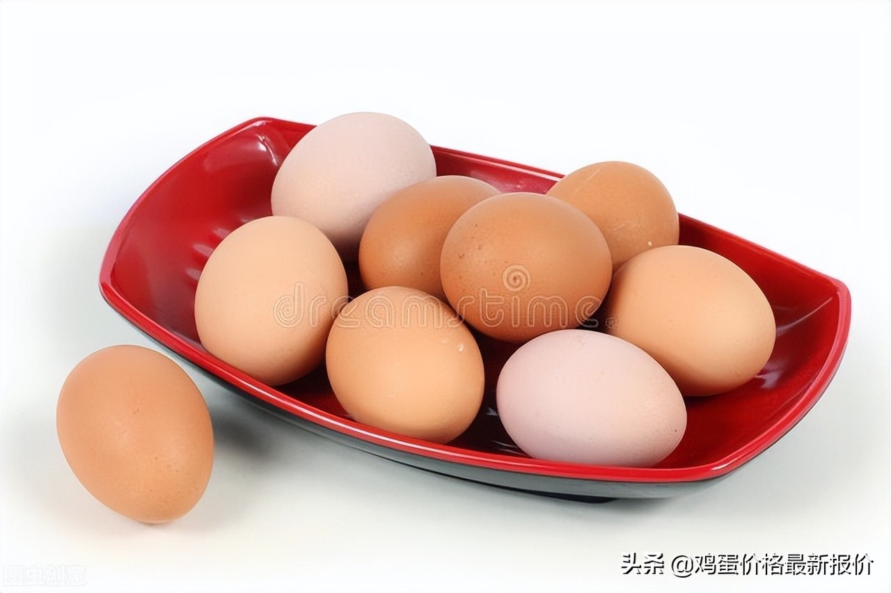 青岛今日协会鸡蛋价格「青岛鸡蛋价格 今日价全国」