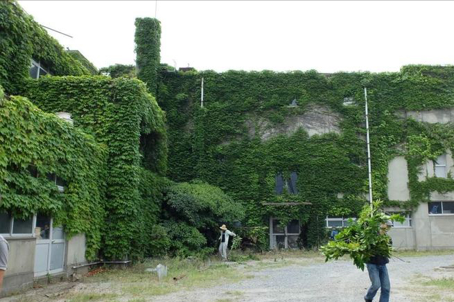 用几张照片带你看在日朝鲜人的学校是什么样的？