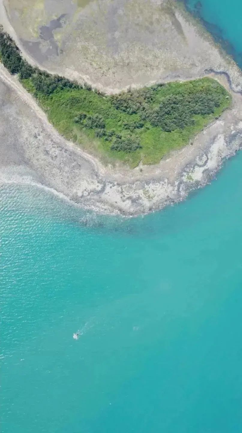 海南最后一片净土！这座无人打扰的海滨慢城，物价低到感人