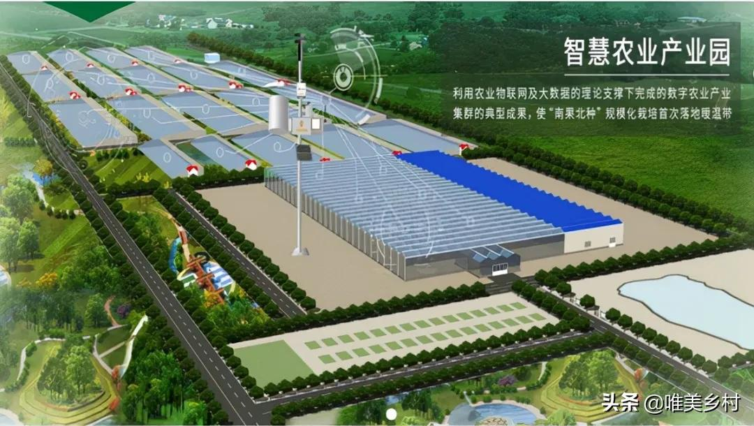 现代农业产业园，如何跑出2.0版？走好关键五步