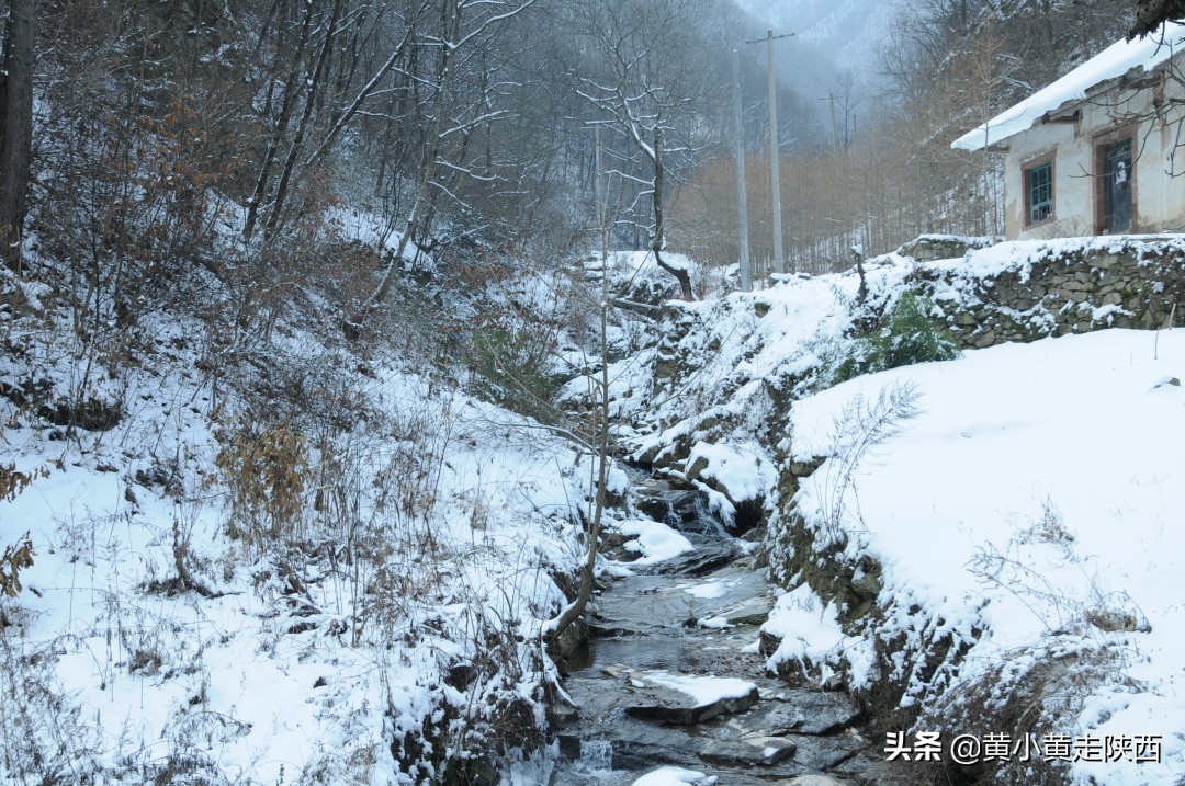 每小时都有班车经过的山谷，风景幽静迷人，探秘秦岭其实很简单