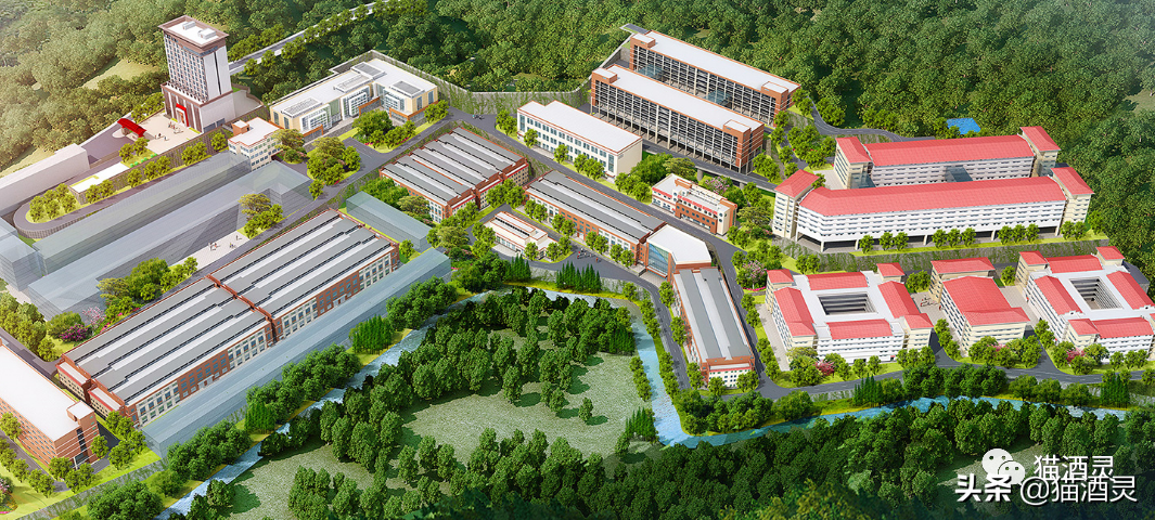 疯狂甩货？价格倒挂？国台酒这两年怎么了？