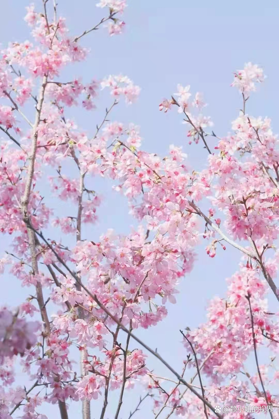 ��ɽ��Ӫ�壬�����׽���Լ����ӣ����