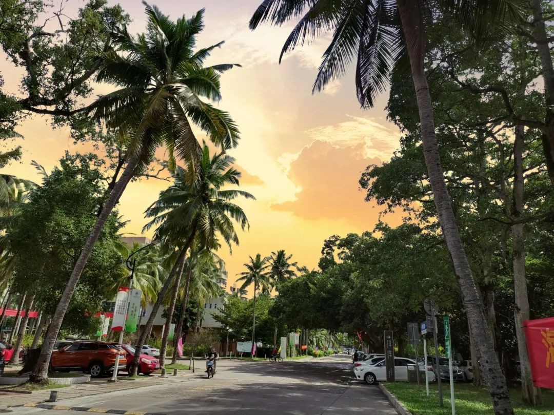 坐落于祖国最南端！这所高校承百年历史，风光秀美，实力强劲
