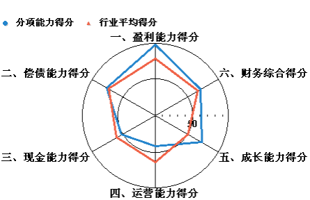 详细版企业年度财务分析报告