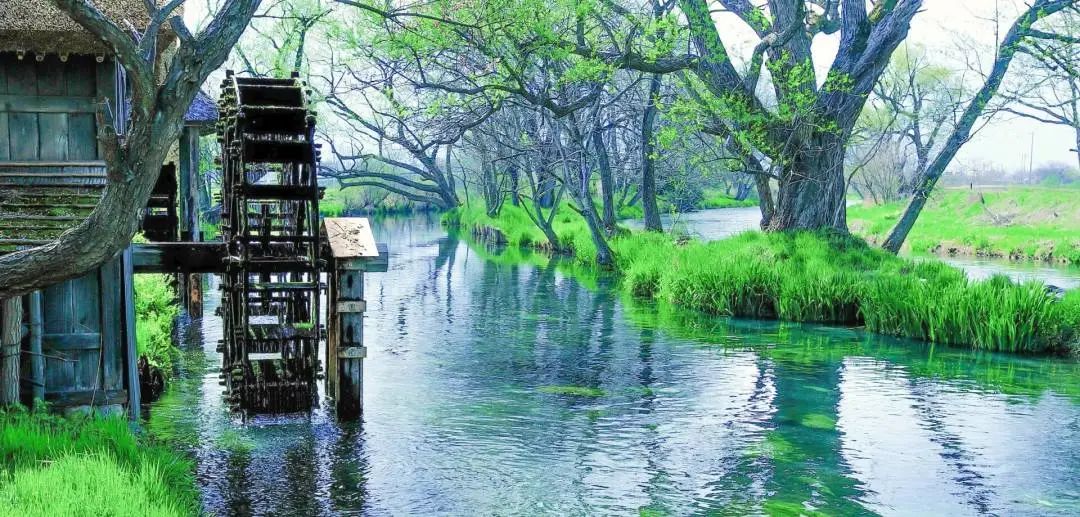 日本六大案例：揭开知名旅游度假综合体的秘密