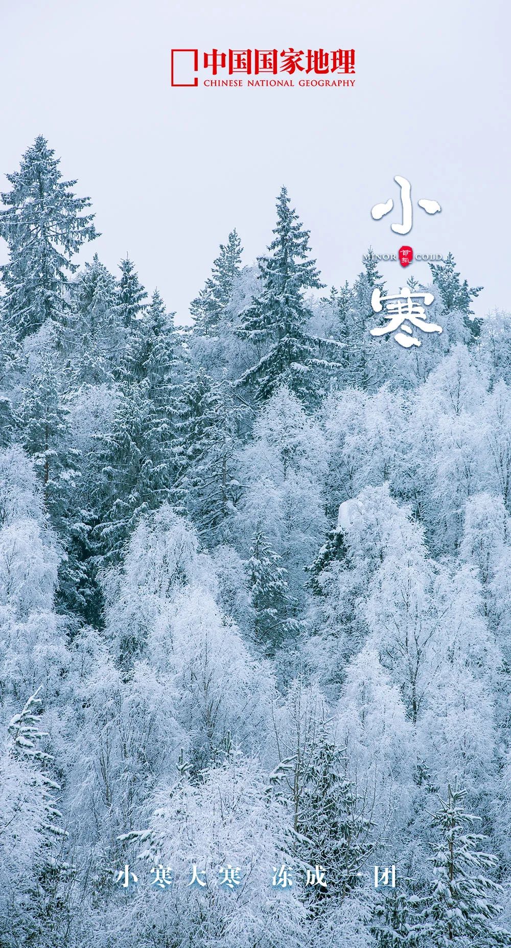 季节图片大全(最中国的24张节气美图，一整年的节气密码)