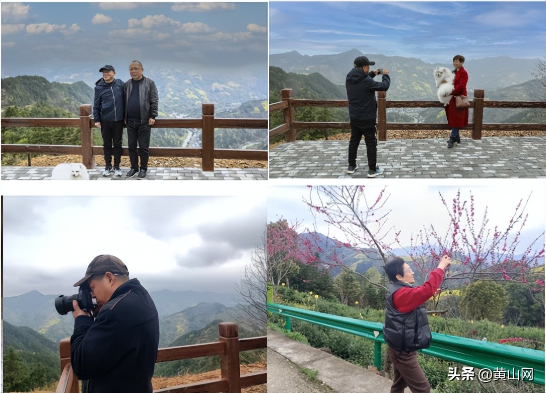 飞阅徽州之十七：飞跃此林山 今朝更好看