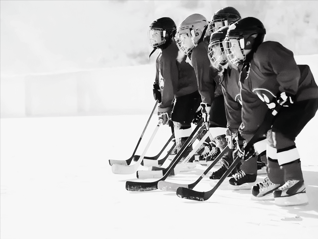 美国nba的球场有哪些（北美四大职业体育联盟·棒球）