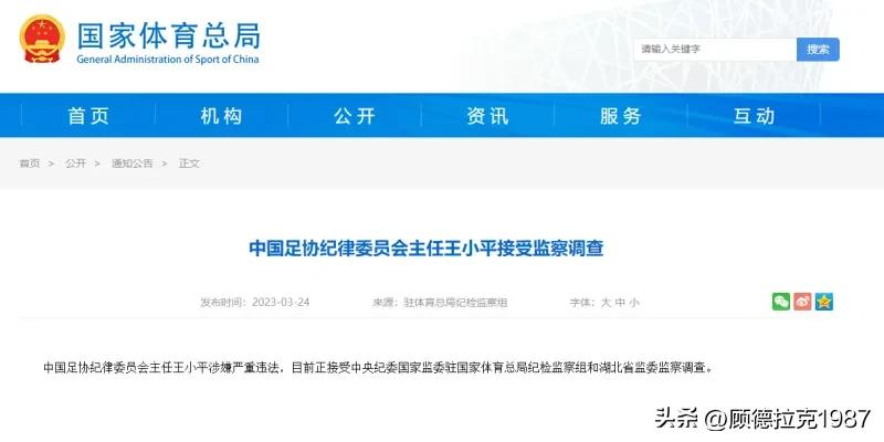 中国足协纪律委员会主任王小平涉嫌严重违法正在接受调查
