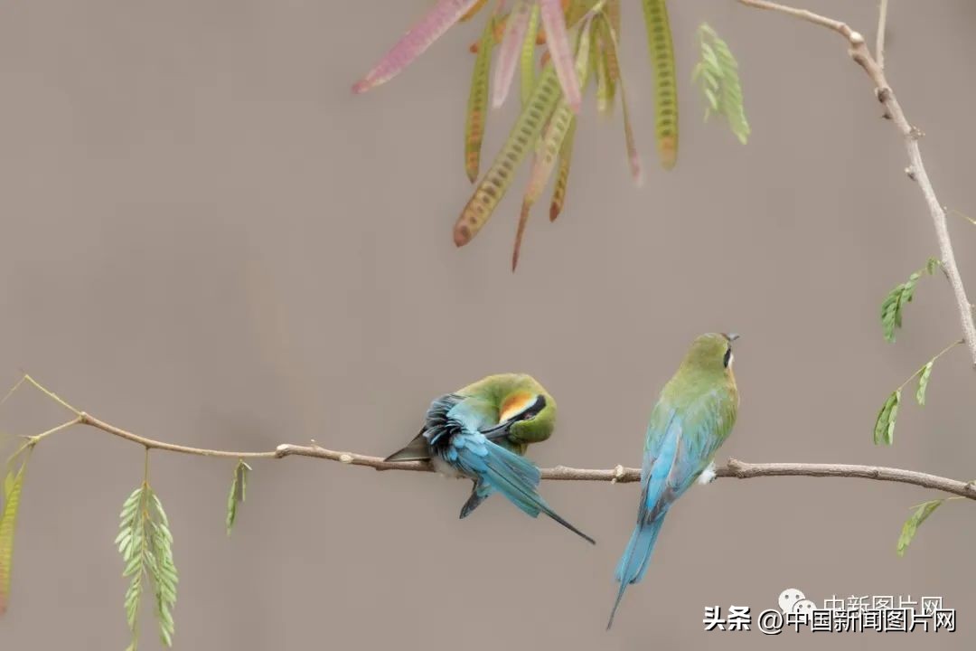 倒计时3天 | 保护生物多样性，我们在行动