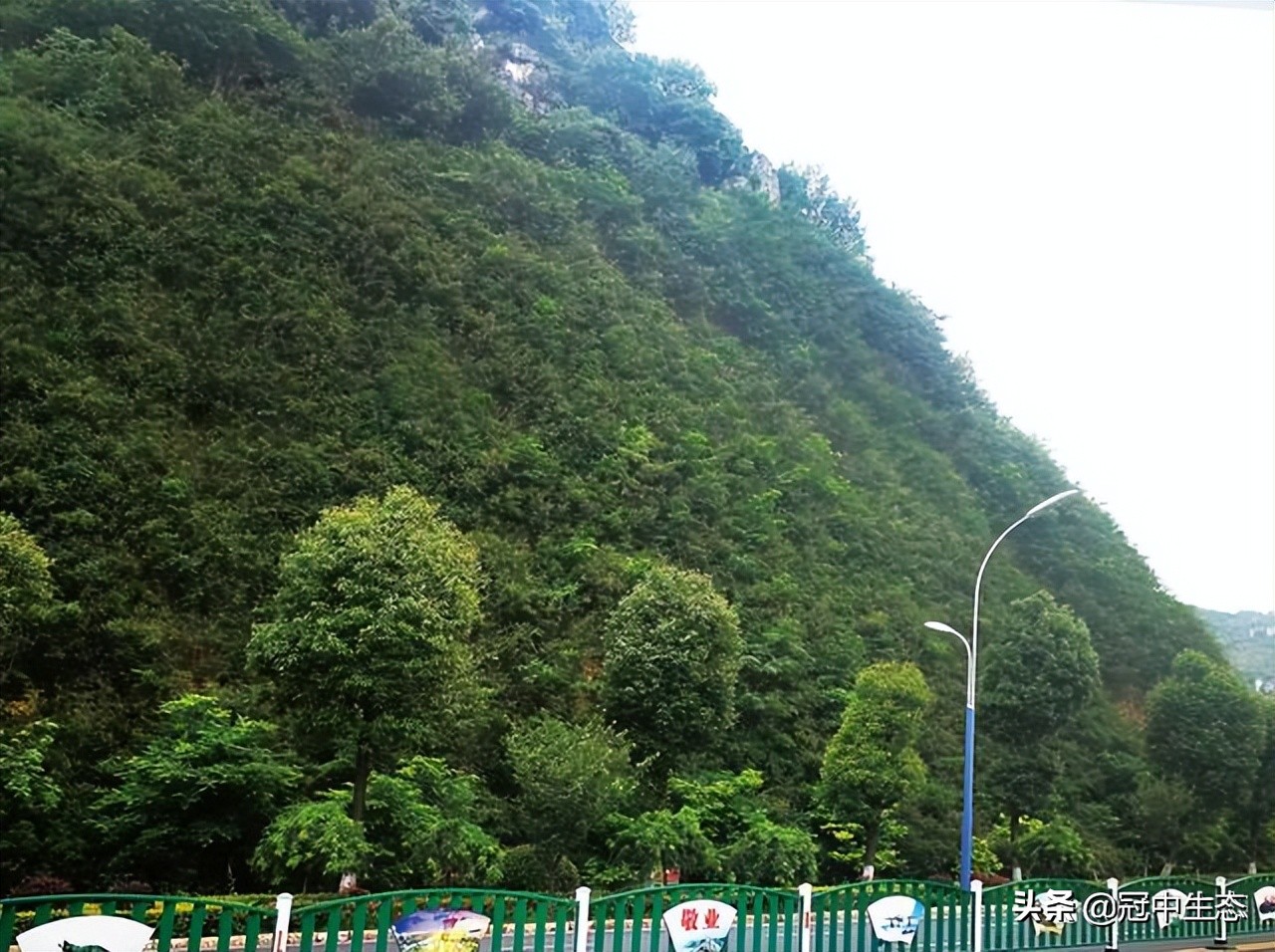 冠中生态｜揭开“优粒”土壤的神秘面纱