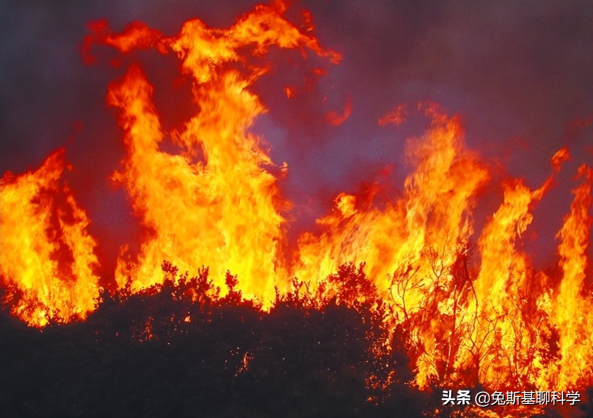 加拉帕格斯巨人蜈蚣(为什么石炭纪会出现身长接近3米的巨型蜈蚣？它是怎么长的？)