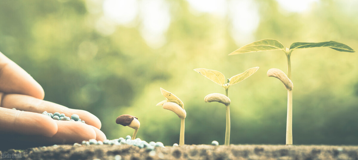 我的2021：一个做自媒体4年的男护士内心独白