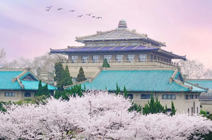 华中科大宣传片公布，武汉大学竟成最大受益者？原来主角来头不小