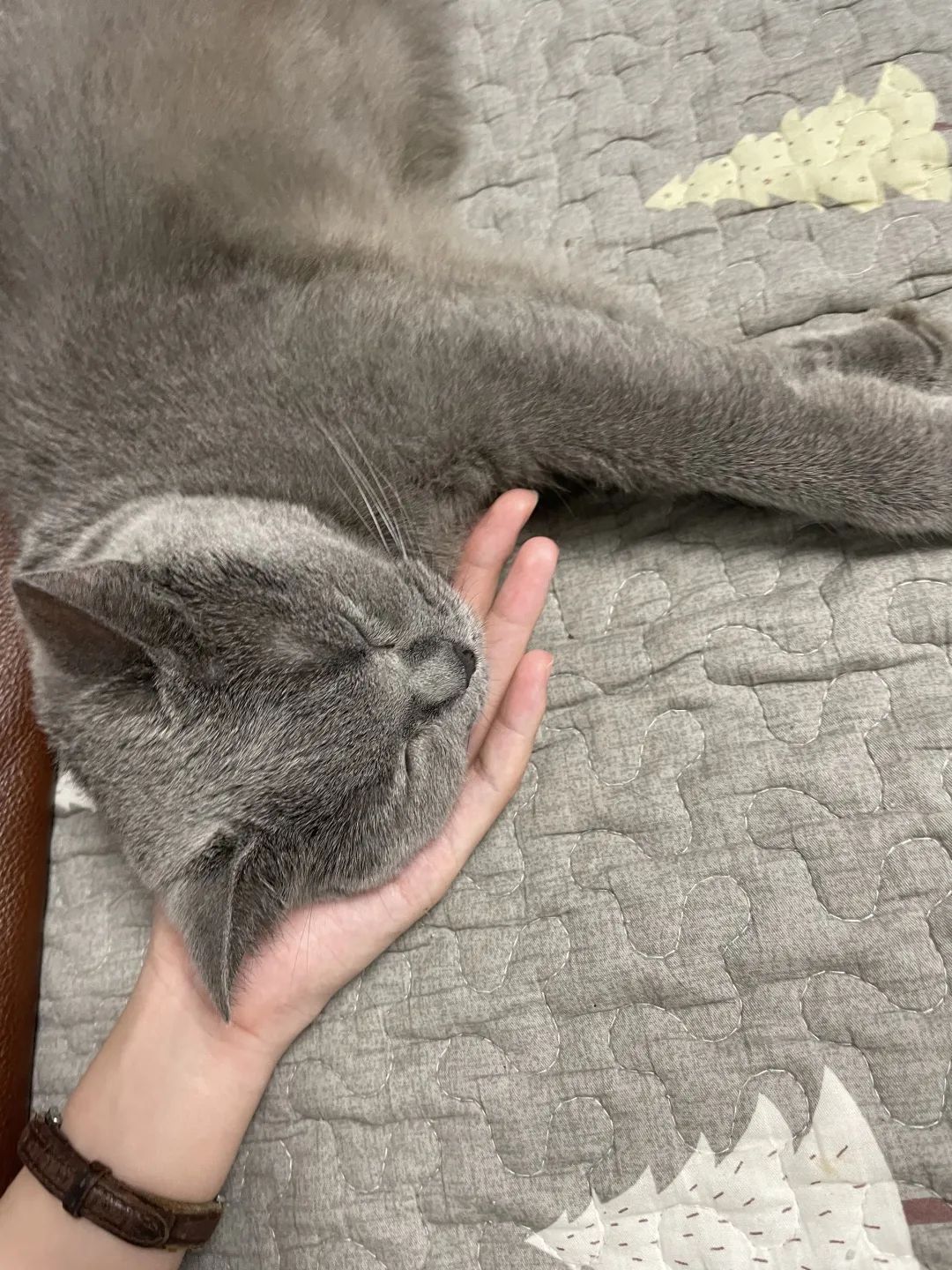 最伟大的作品？也许藏在这里……