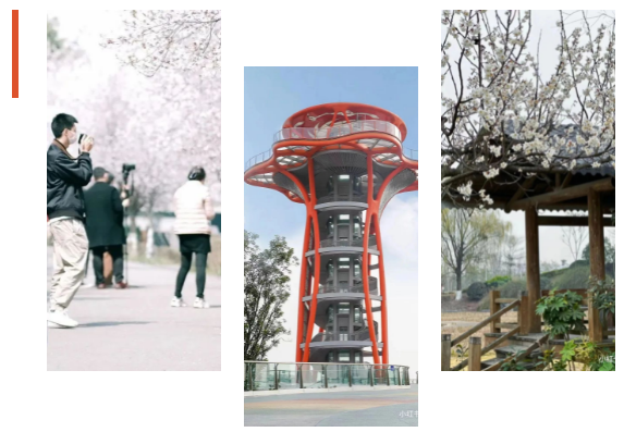 成都哪里好玩（实用！成都15个最值得去的公园全在这里！）-趣拿体育